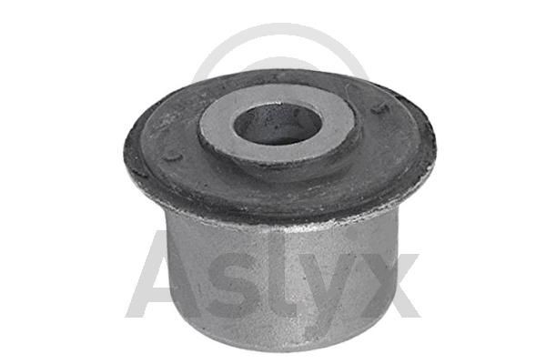 Aslyx AS-200382: Puks Esisild
