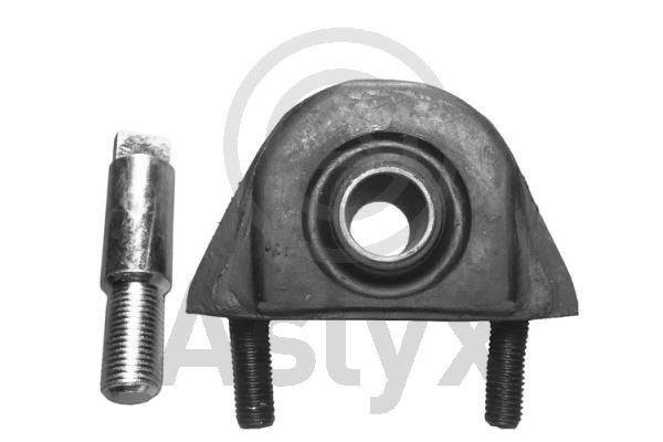Aslyx AS-200391: Puks taga, Esisild