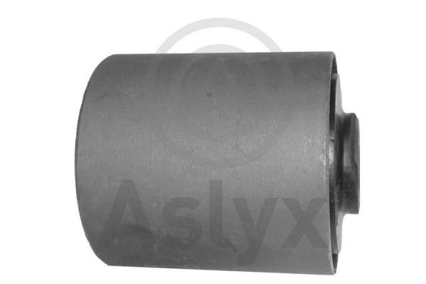 Aslyx AS-200973: Kinnitus, lehtvedru
