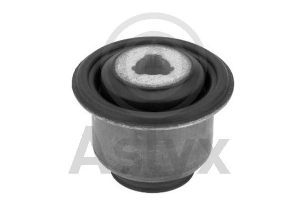 Aslyx AS-201725: Puks Esisild