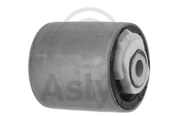 Aslyx AS-201766: Puks taga, sees, all, Esisild
