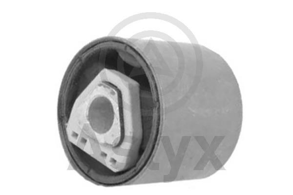 Aslyx AS-201848: Puks Esisild