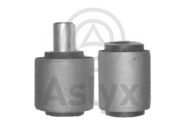 Aslyx AS-202292: Puks sees
