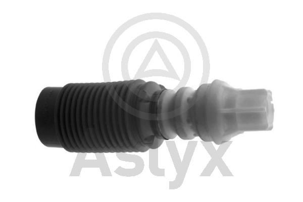 Aslyx AS-202871: Tolmukaitse komplekt, Amordid Esisild