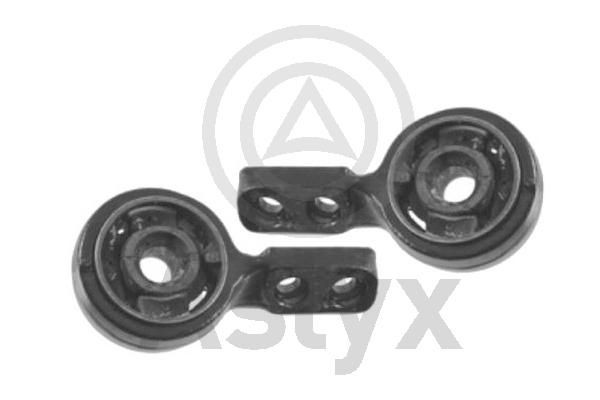 Aslyx AS-203093: Puks Esisild
