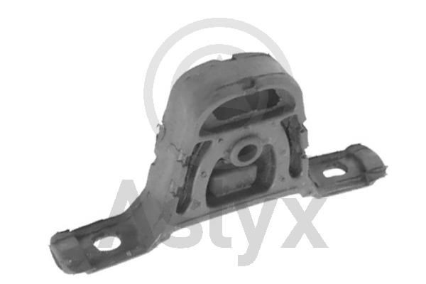 Aslyx AS-203131: Suport, sistem de esapament