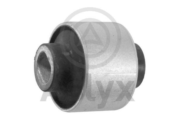 Aslyx AS-203305: Feste, styrestag innvendig, nede, framaksel