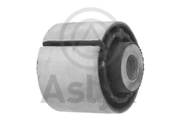 Aslyx AS-203306: Puks sees, Esisild