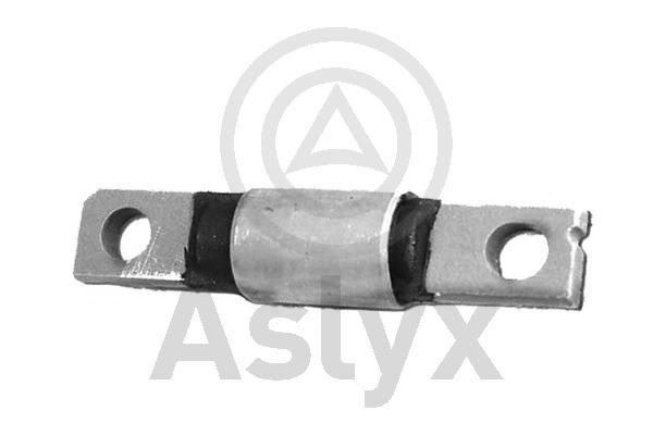 Aslyx AS-203344: Puks ees, Esisild