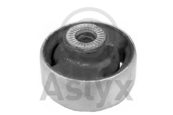 Aslyx AS-203419: Puks taga, Esisild