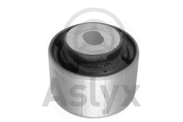 Aslyx AS-203431: Puks taga, vasakul, paremal, Esisild