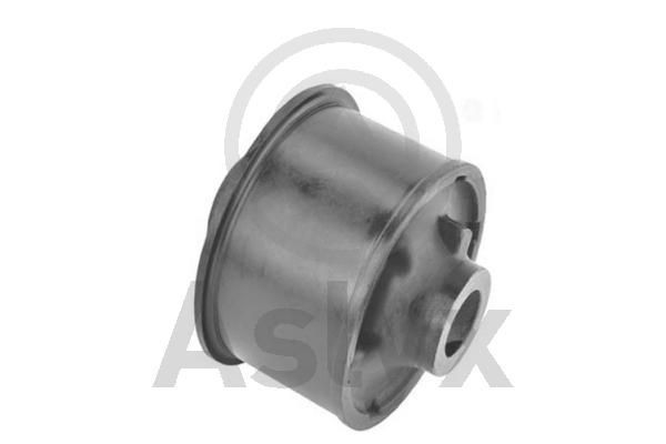 Aslyx AS-203433: Puks taga