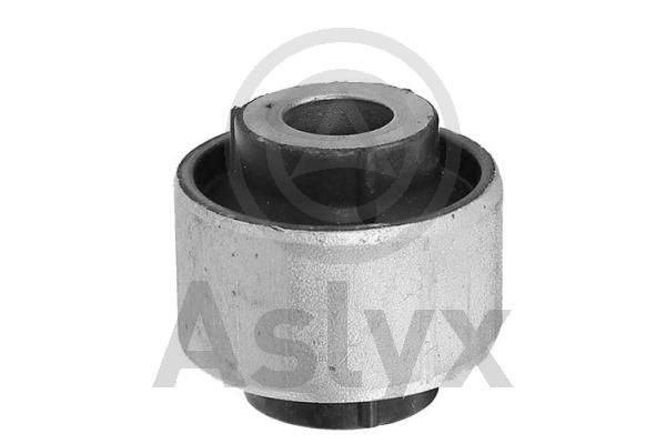 Aslyx AS-203446: Puks sees, vasakul, paremal, Esisild