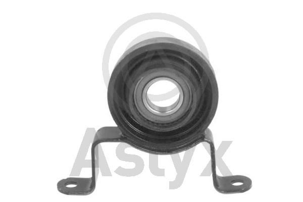 Aslyx AS-203464: Paigutus, kardaan taga, koos kuullaagriga
