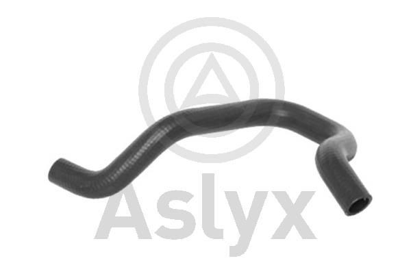 Aslyx AS-203634: Radiatoriaus žarna