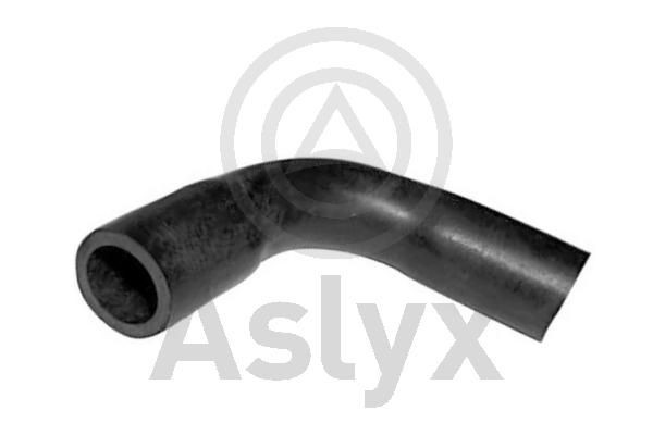 Aslyx AS-203657: Voolik, Karterituulutus