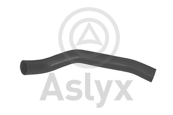 Aslyx AS-203791: Voolik, Karterituulutus
