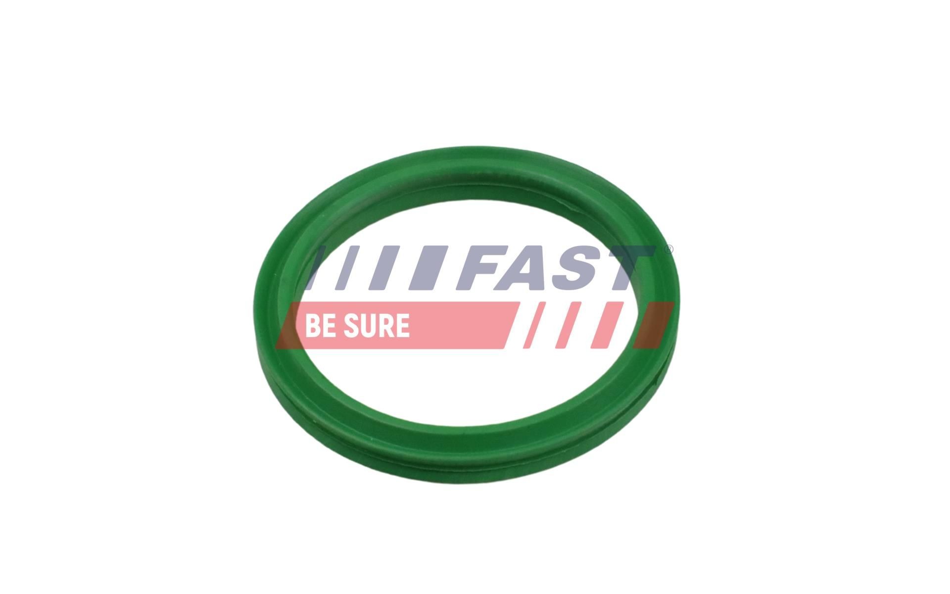 FAST FT49919: Anello tenuta, Tubo refrigerante