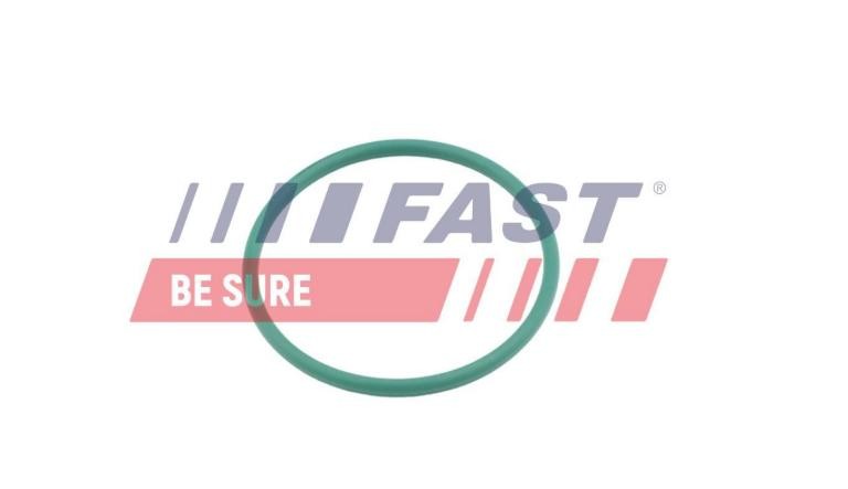 FAST FT49921: Rõngastihend,õhulaadevoolik