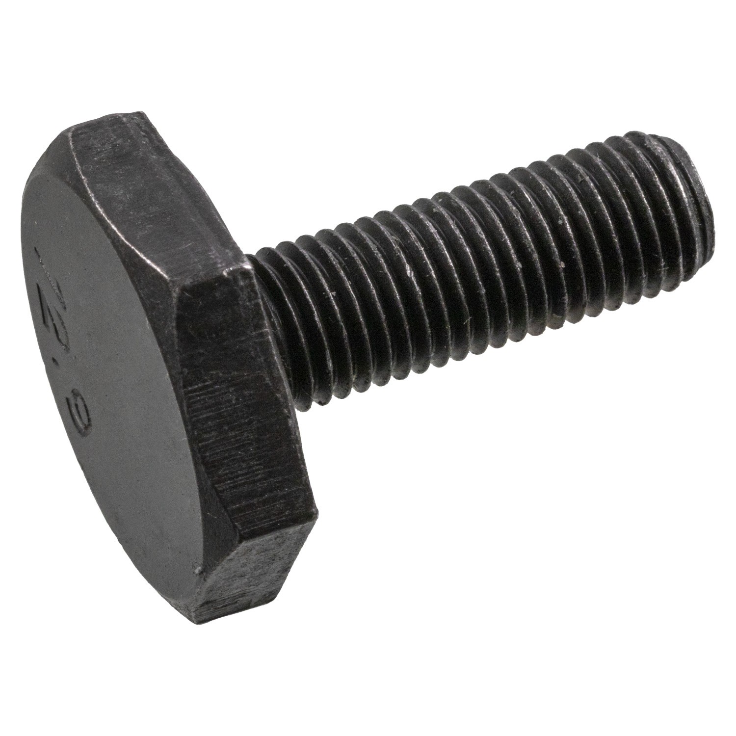 FEBI BILSTEIN 32183: Vite, Ingranaggio-Albero a camme