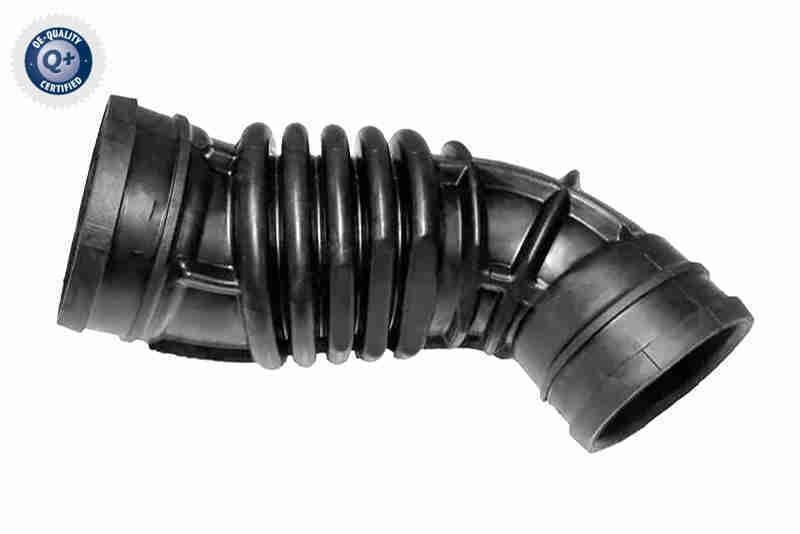 VAICO V24-1265: Insugsslang Q+, original equipment manufacturer quality