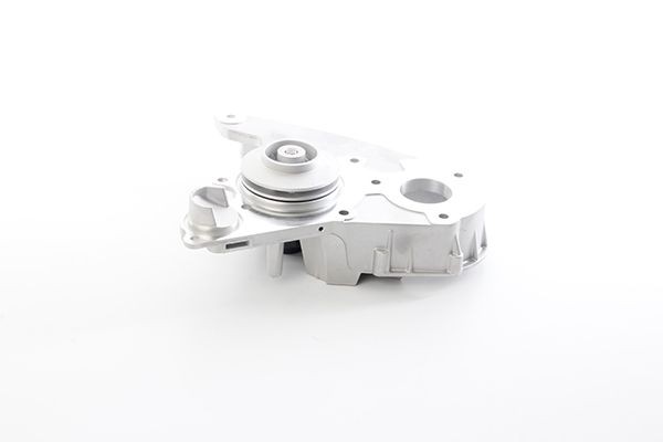 BSG BSG 25-500-010: Veepump