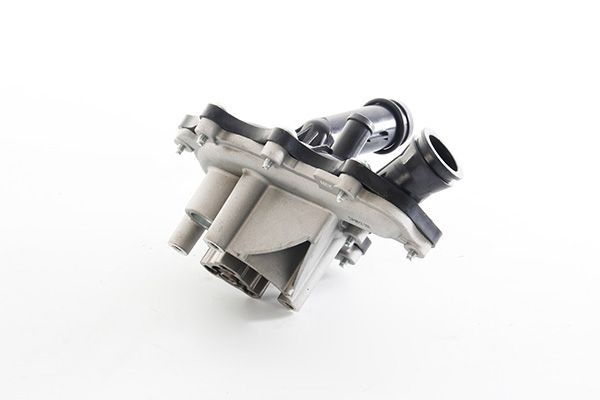 BSG BSG 25-500-013: Veepump koos veepumba rõngastihendiga, koos kaanega