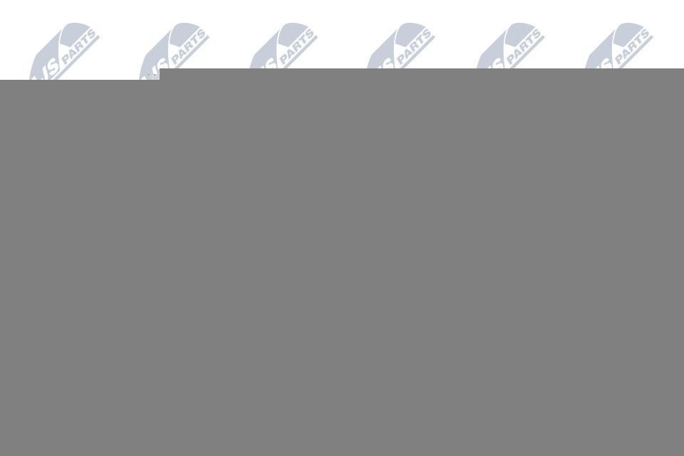 NTY RNK-BM-067: Rullo tenditore cinghia Poly-V Ø: 55mm, Ø: 55mm