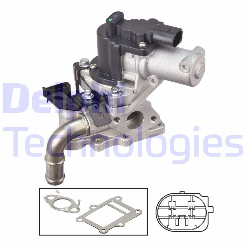 DELPHI EG10613-12B1: EGR-klapp