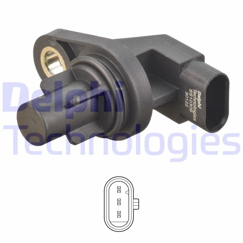 DELPHI SS12309-12B1: Sensor, knastakselposition