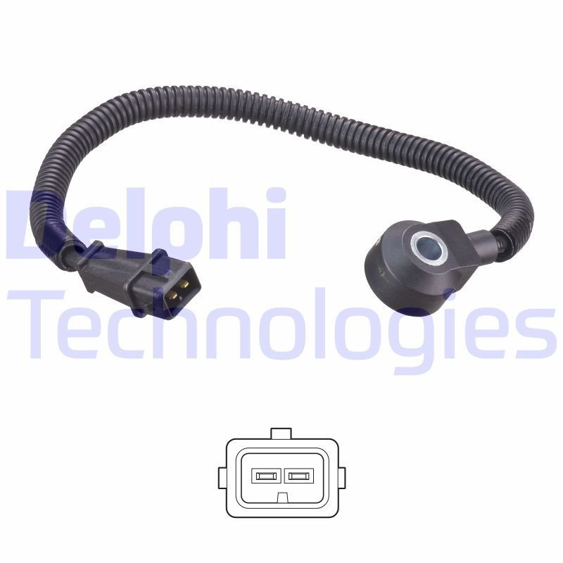 DELPHI BEBJ1F06101: Sissepritseklapp