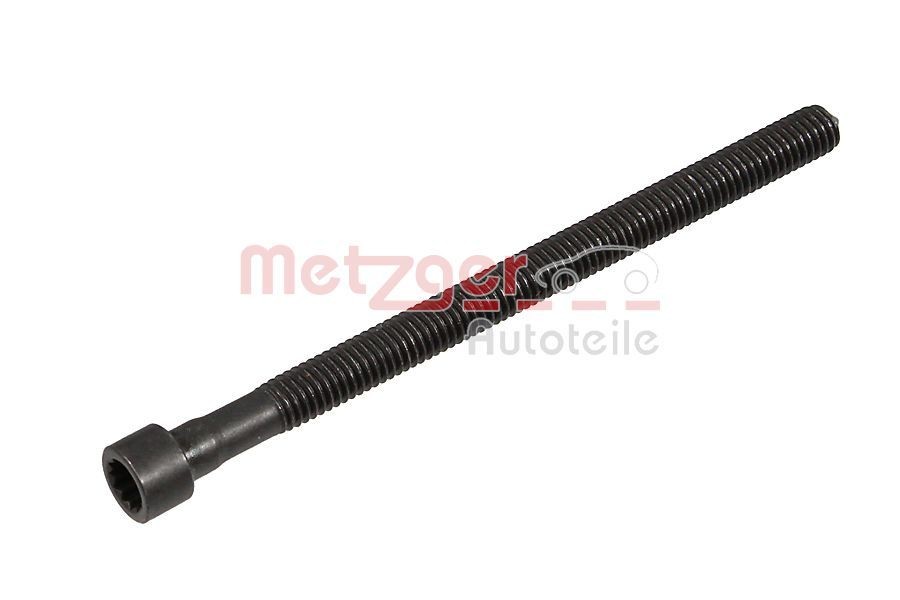 METZGER 0873030: Kruvi, sissepritsedüüsi kinnitus OE-part