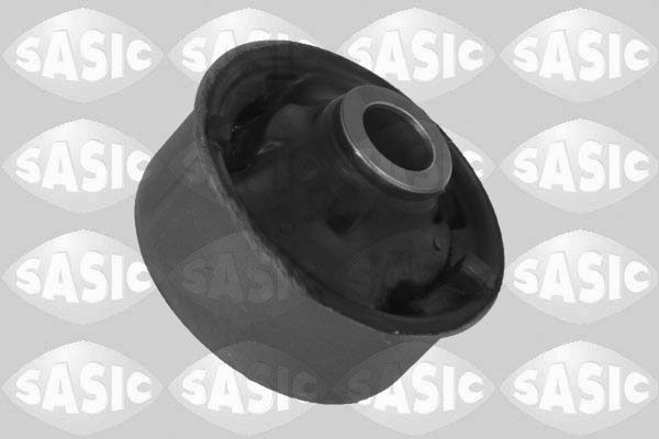 SASIC 2256209: Puks Esisild, taga, all