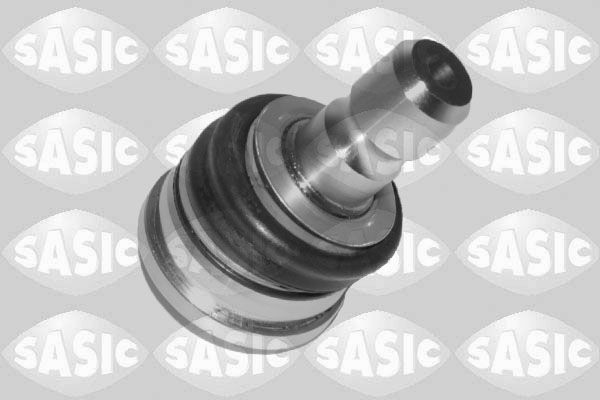 SASIC 7576097: Kande- / juhtliigend Esisild, all