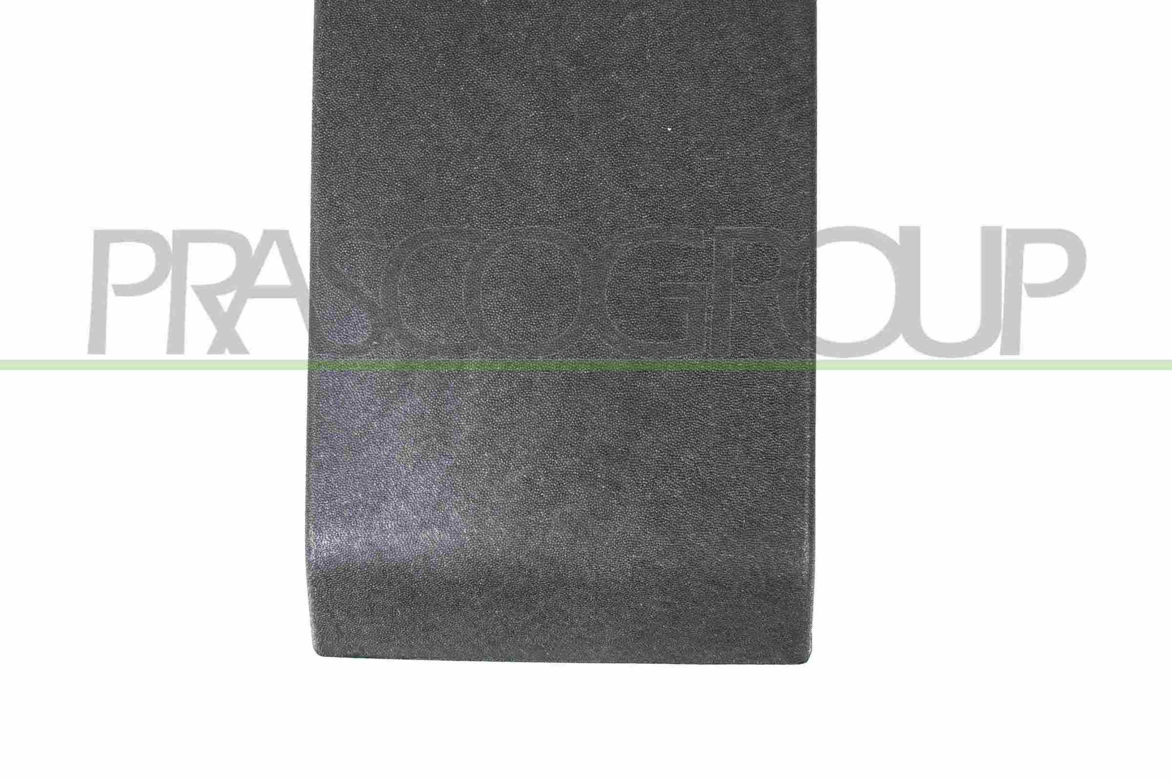 PRASCO RN9541415: Apdare- / Aizsarguzlika, Sānu siena