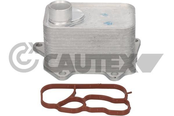 CAUTEX 768822: Radiator ulei, ulei motor cu etansare