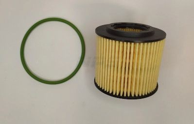 NPS V131G02: Õlifilter
