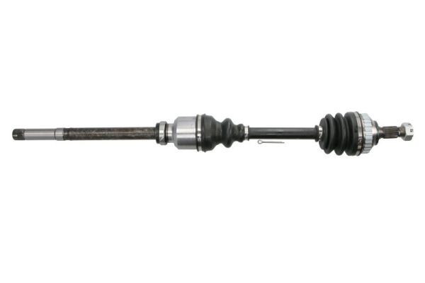 PASCAL G2C012PC: Piedziņas vārpsta Priekšējais tilts, 868mm