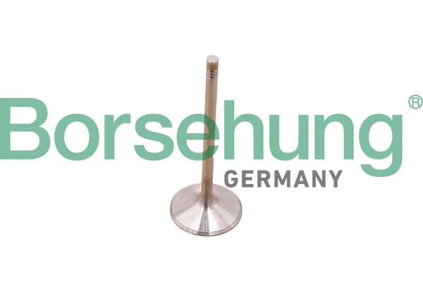 Borsehung B10348: Juego de aros de pistón