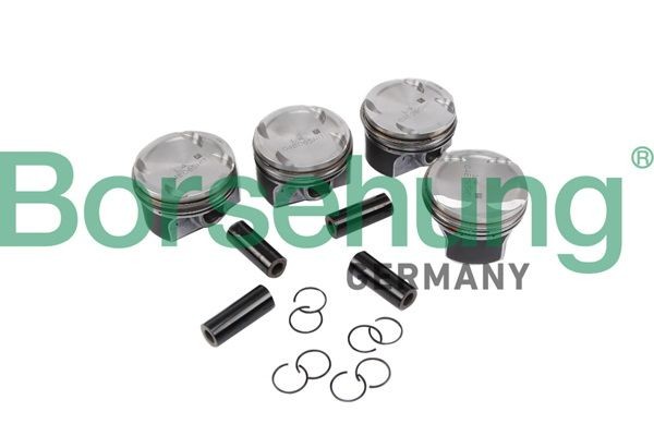 Borsehung B11134: Piston