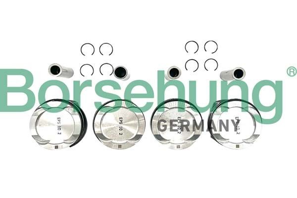 Borsehung B11136: Set segmenti piston