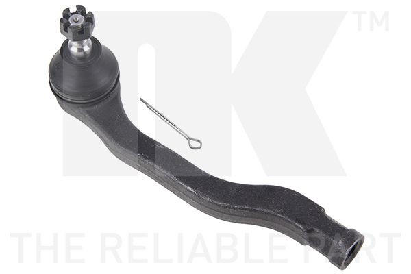 NK 5032606: Cap de bara