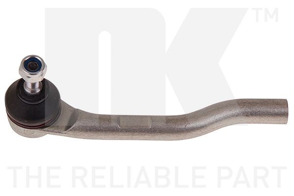 NK 5032619: Cap de bara