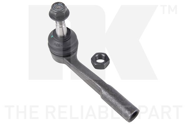 NK 5033667: Cap de bara