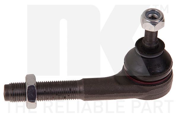 NK 5033728: Cap de bara