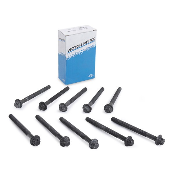 REINZ 14-32231-01: Klapikaanekruvikomplekt 132mm, M12