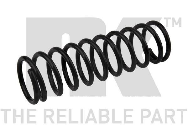 NK 544750: Arc spiral puntea spate
