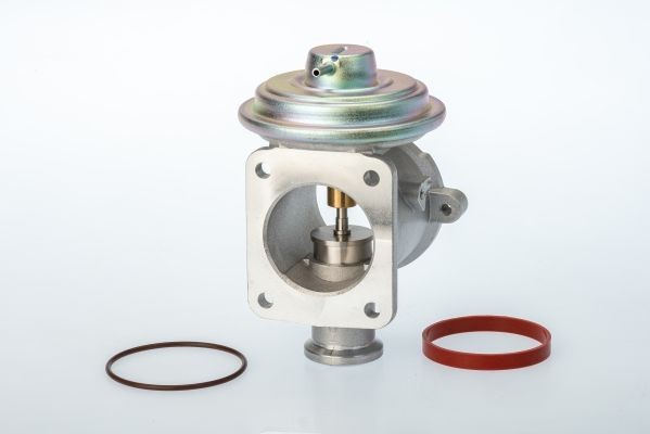 WAHLER 710924D: EGR-klapp