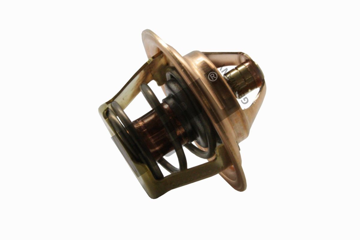 HEPU TM1378: Termostat, lichid racire 87°C, cu etansare