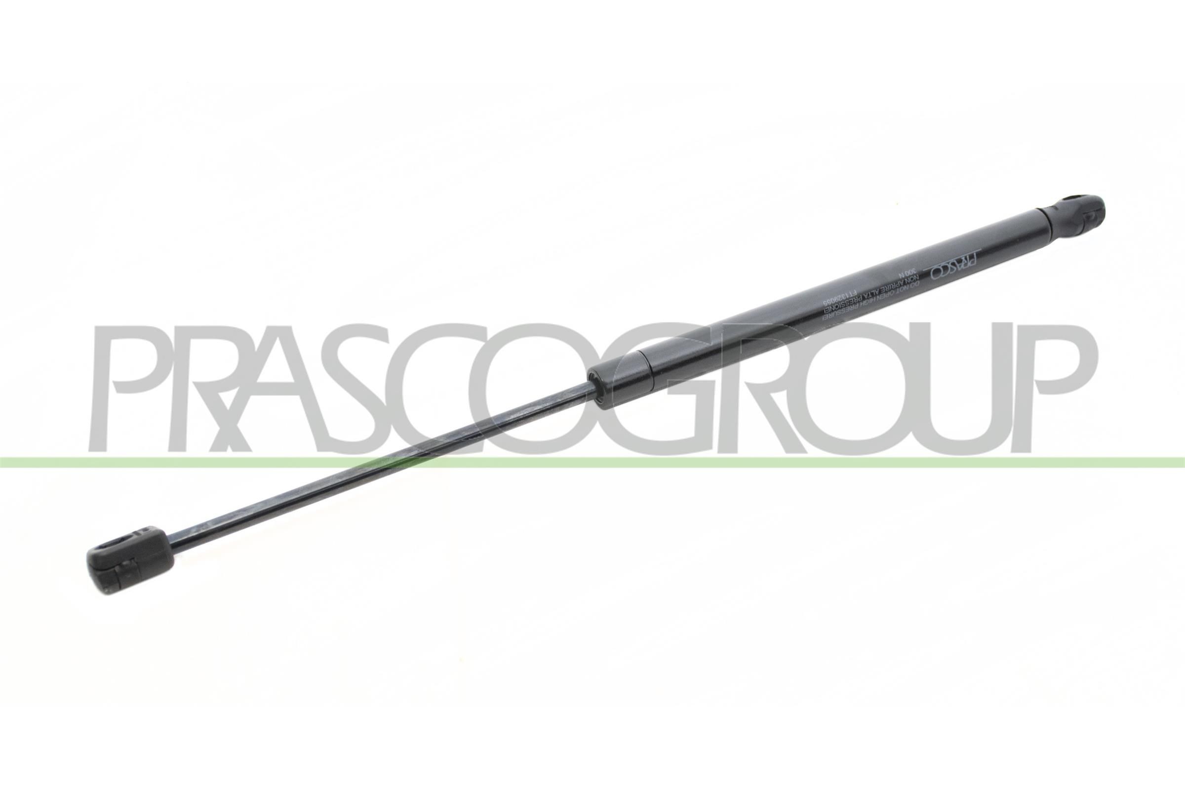 PRASCO FT1329055: Gaasivedru, pagasi- / veoruum taga vasakul, taga paremal, 445mm